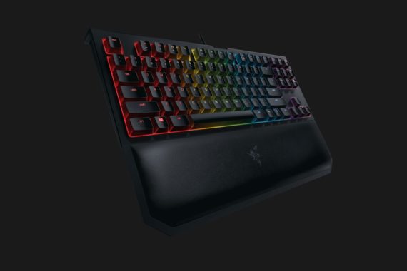 Razer-BWT-Ed-ChromaV2-p02