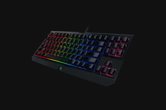 Razer-BWT-Ed-ChromaV2-p03