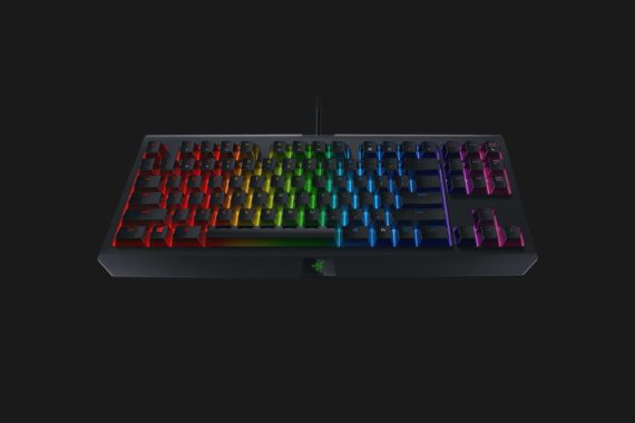 Razer-BWT-Ed-ChromaV2-p04